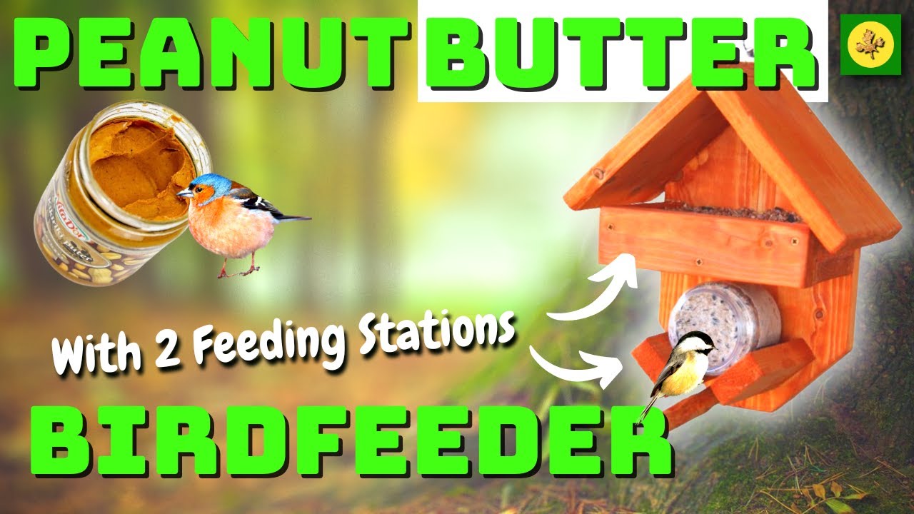 Peanut Butter Bird Feeder: How to build with Basic Tools - Easy DIY