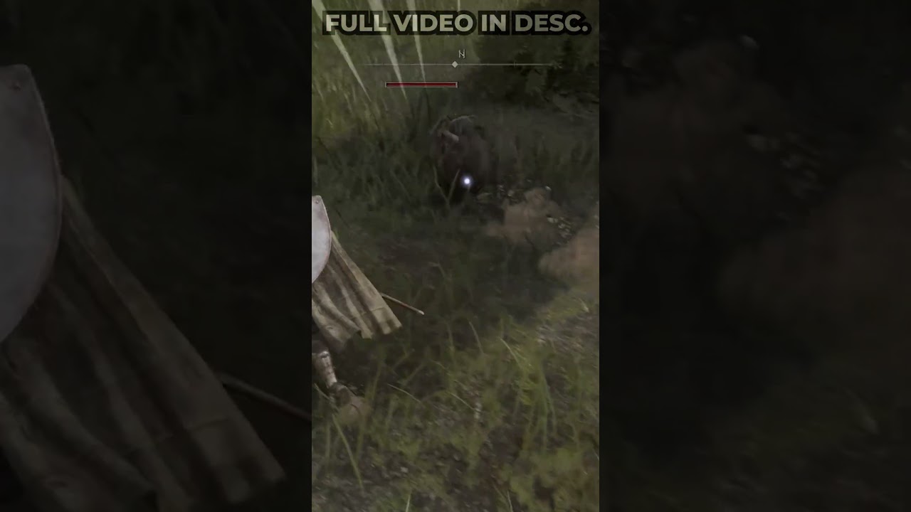 The first thing I see in Limgrave