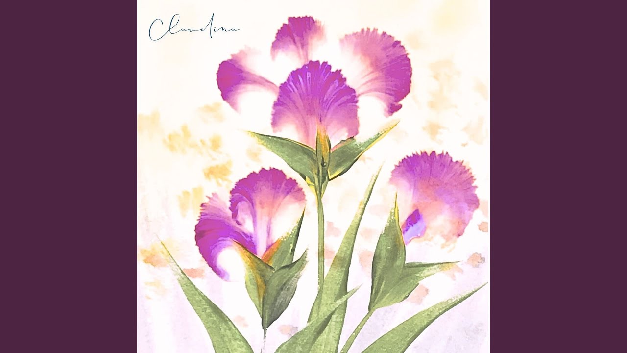 Clavelina