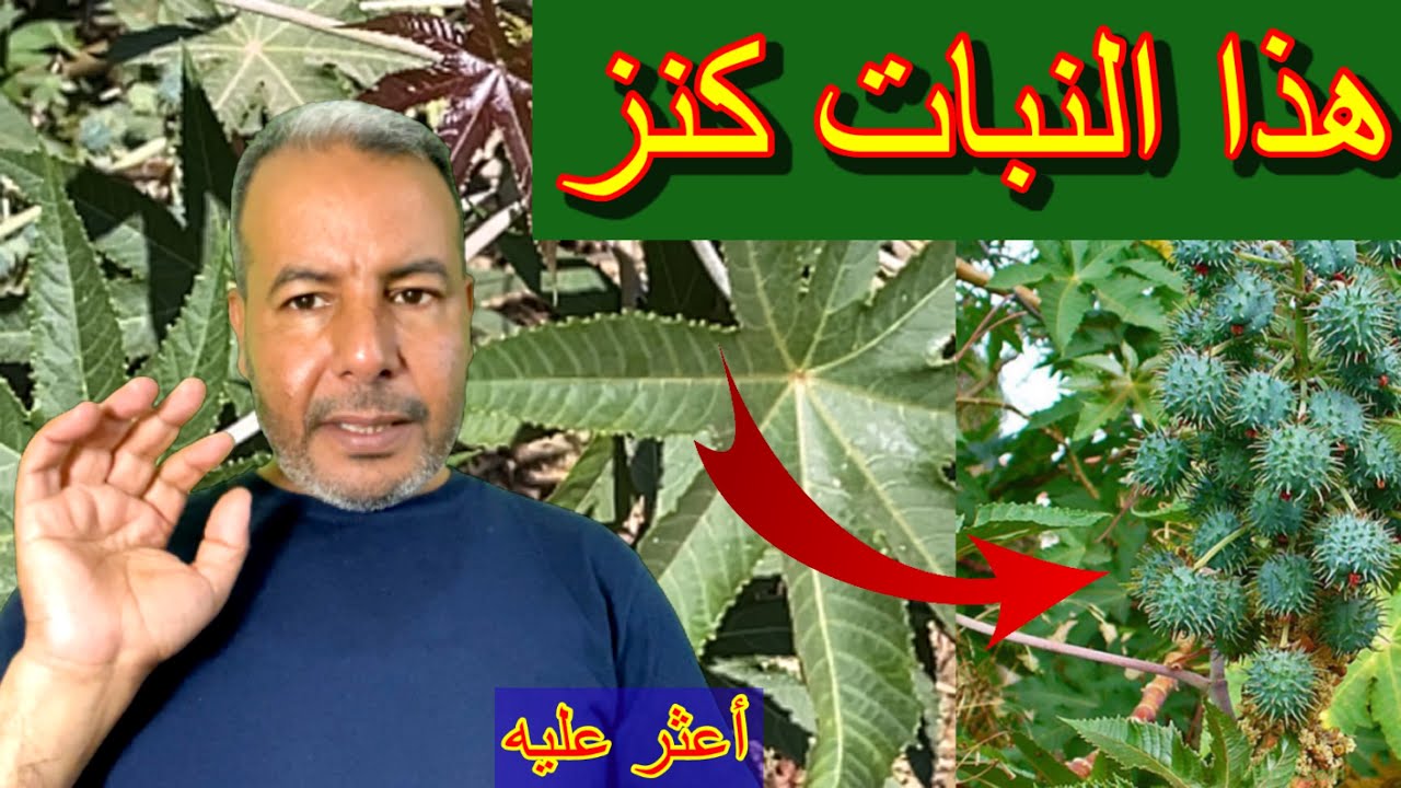 سر لا يعرفه أكثر الناس إجعله مشروعك