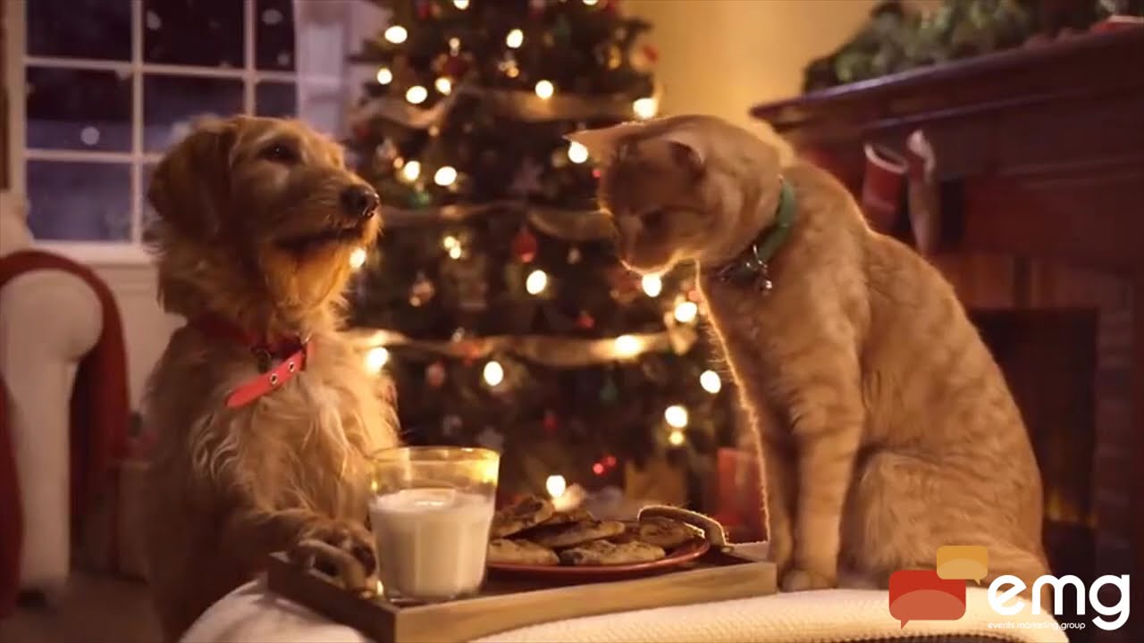 Feliz Nochebuena y Navidad 2025 🎄⛄ Video para desear la Navidad a amigos por WhatsApp ❄️🎁