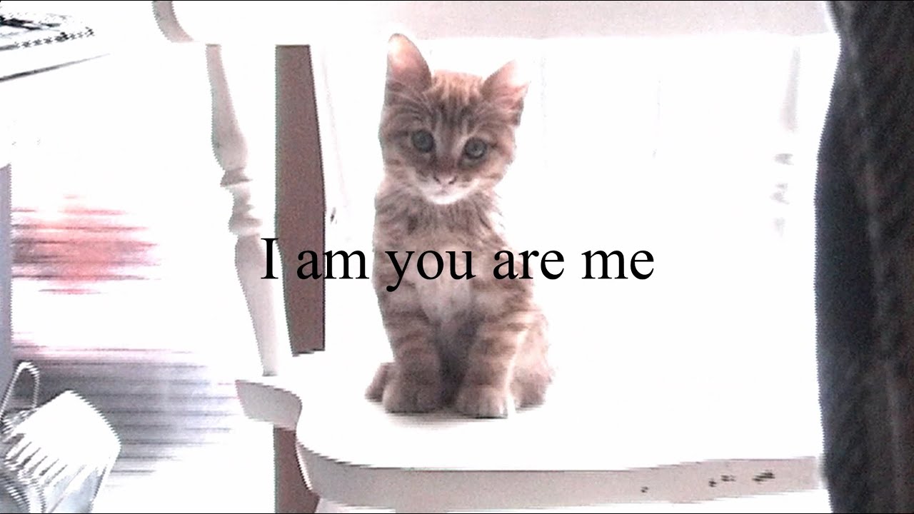 Tenniscoats - You are I am you (Music Video)