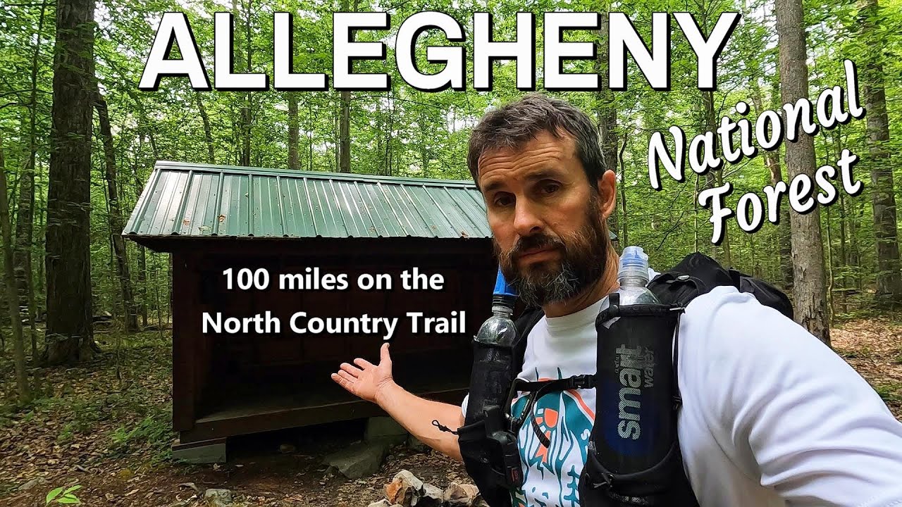 100 Miles on the North Country Trail in Allegheny National Forest