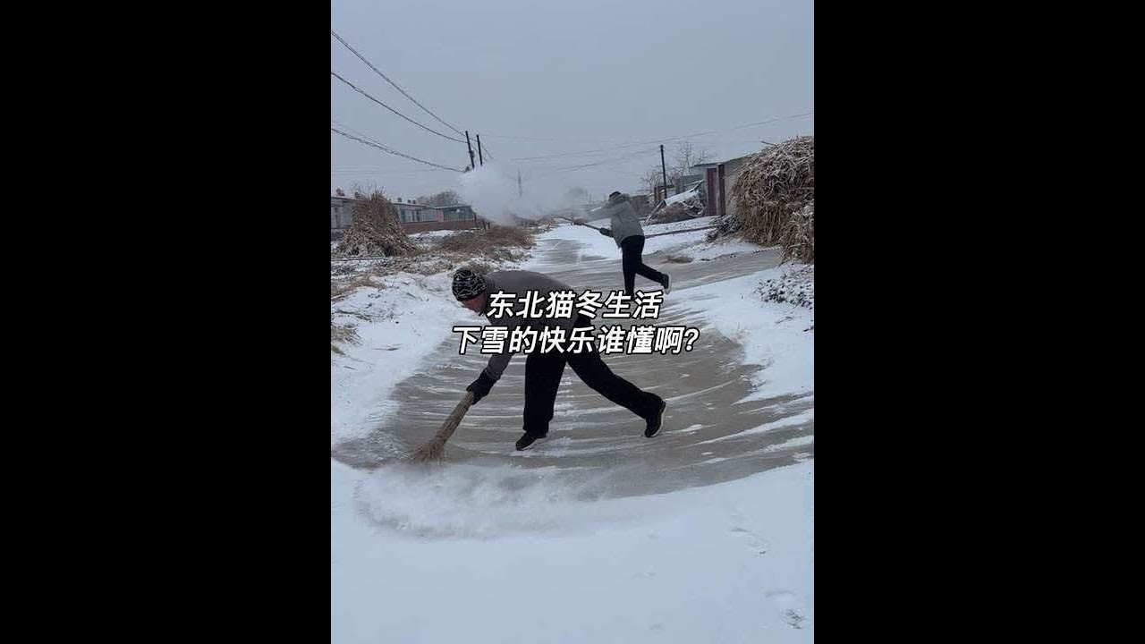 下雪了！早上推开门外面一片白茫茫的太美了！东北孩子也拒绝不了下雪天啊！#下雪了 #记录我的农村生活 #青年创作者成长计划 #东北猫冬生活