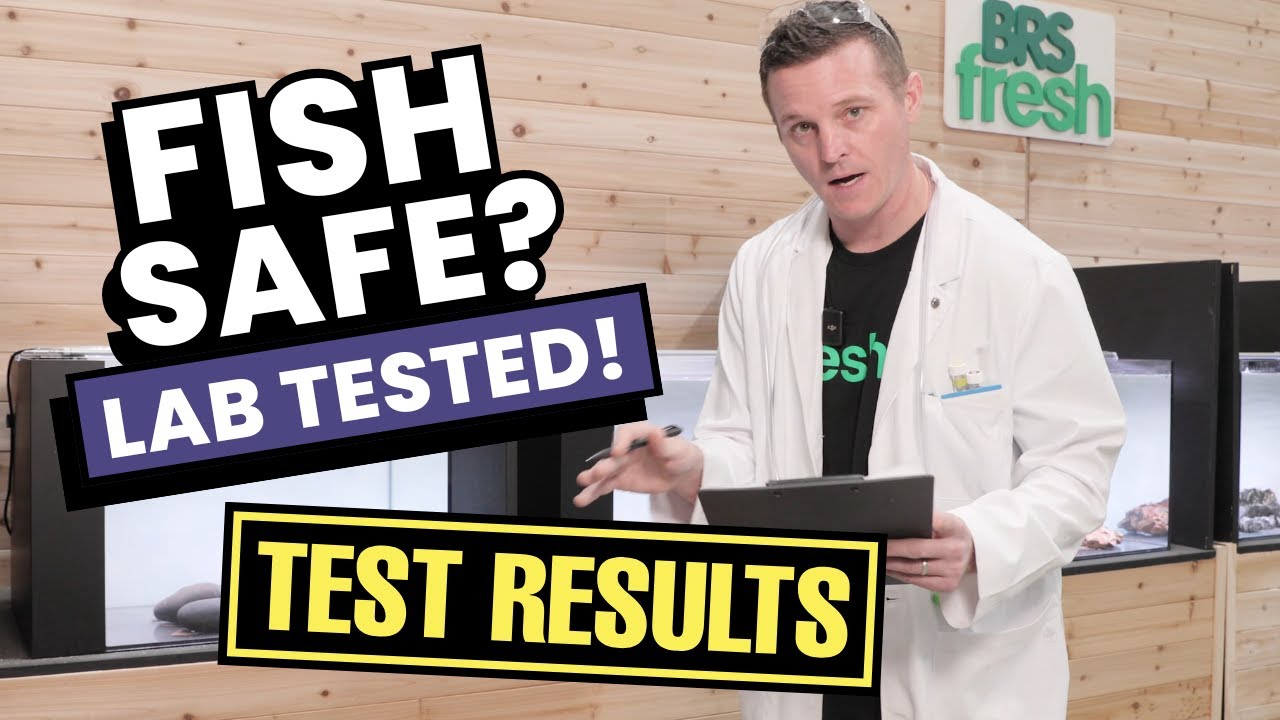 Is This Rock Safe for Your Aquarium? We Tested It!