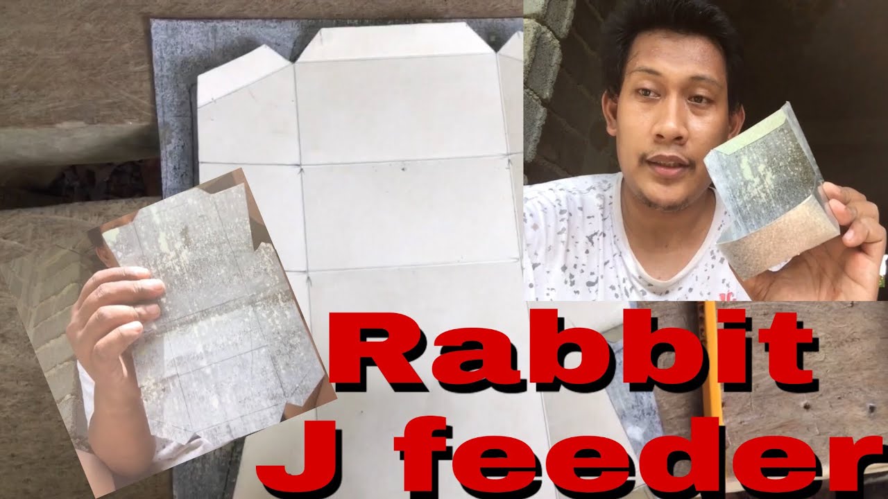 DIY rabbit J feeder #Jfeeder #rabbit #kuneho