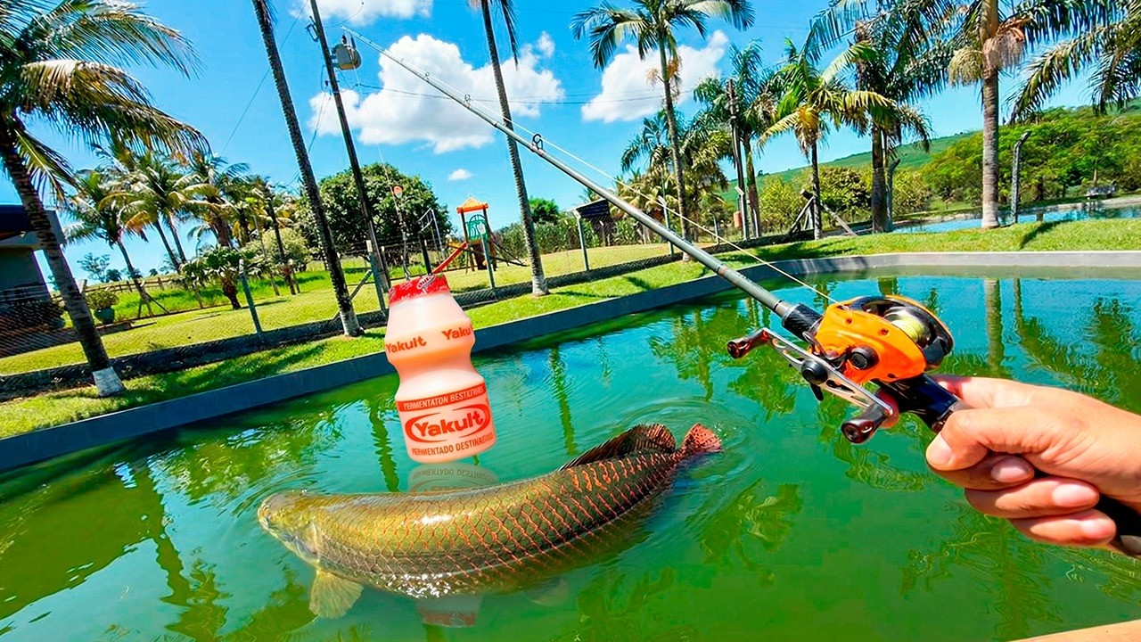 ENGANEI O PIRARUCU COM MASSINHA DE YAKUT  * será que pega ? * 