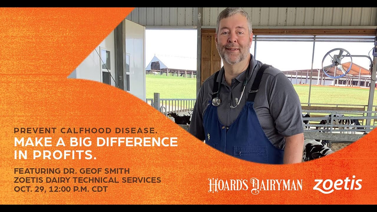 Prevent calfhood disease, make a big difference in your bottom line - Brought to you by Zoetis