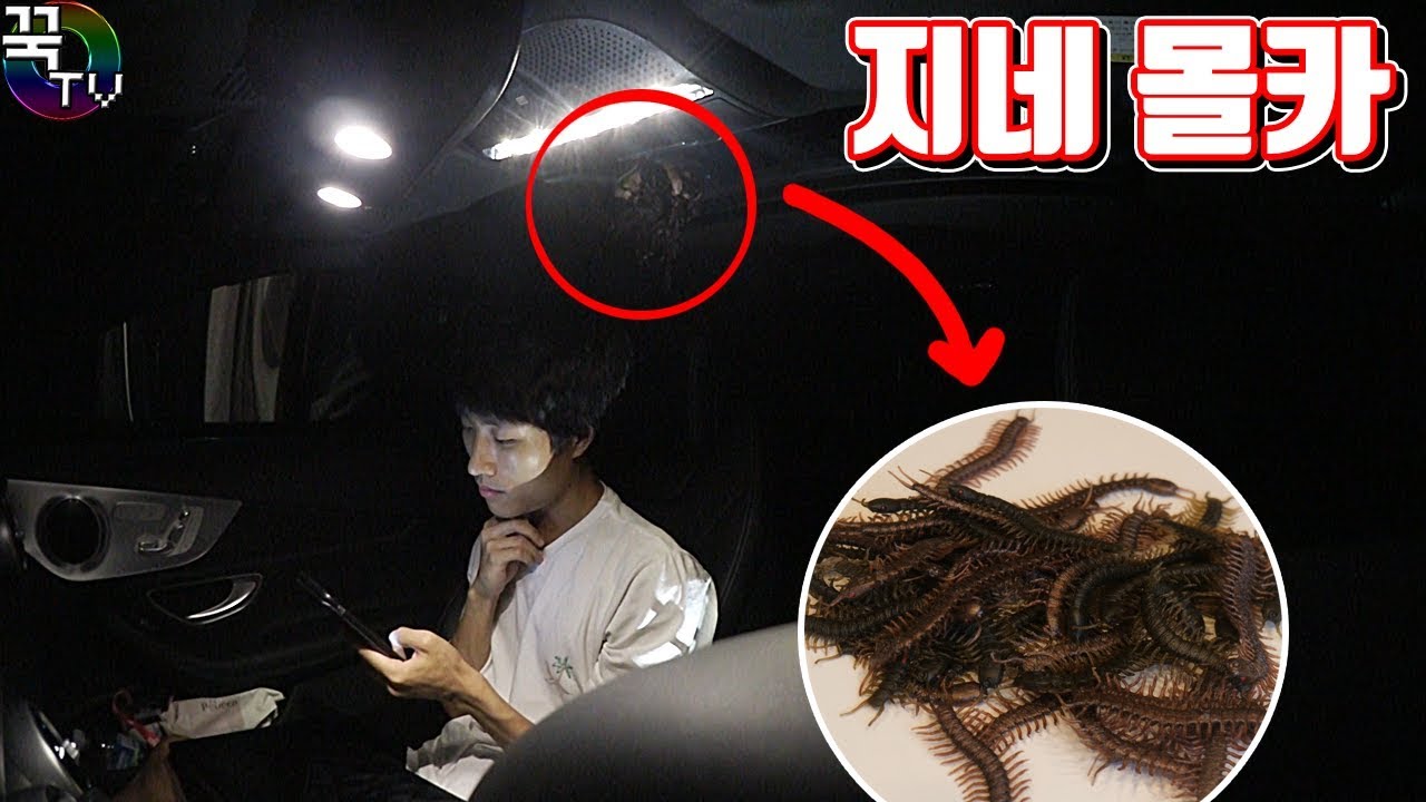 지네 50마리 몰래카메랔ㅋㅋㅋㅋㅋㅋㅋㅋㅋㅋㅋ 꿀잼 [ 꾹TV ] (Centipede Prank in Real Life)