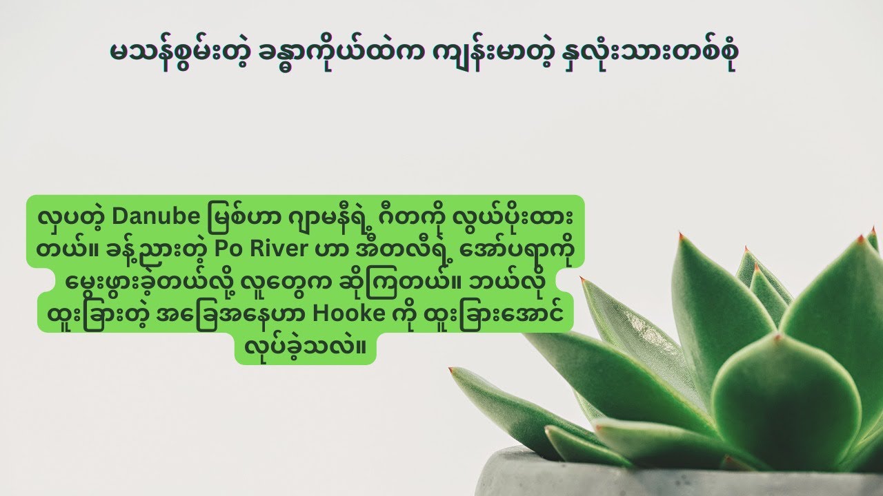 မသန်စွမ်းတဲ့ ခန္ဓာကိုယ်ထဲက ကျန်းမာတဲ့ နှလုံးသားတစ်စုံ ၊ နိုင်းနိုင်းစနေ