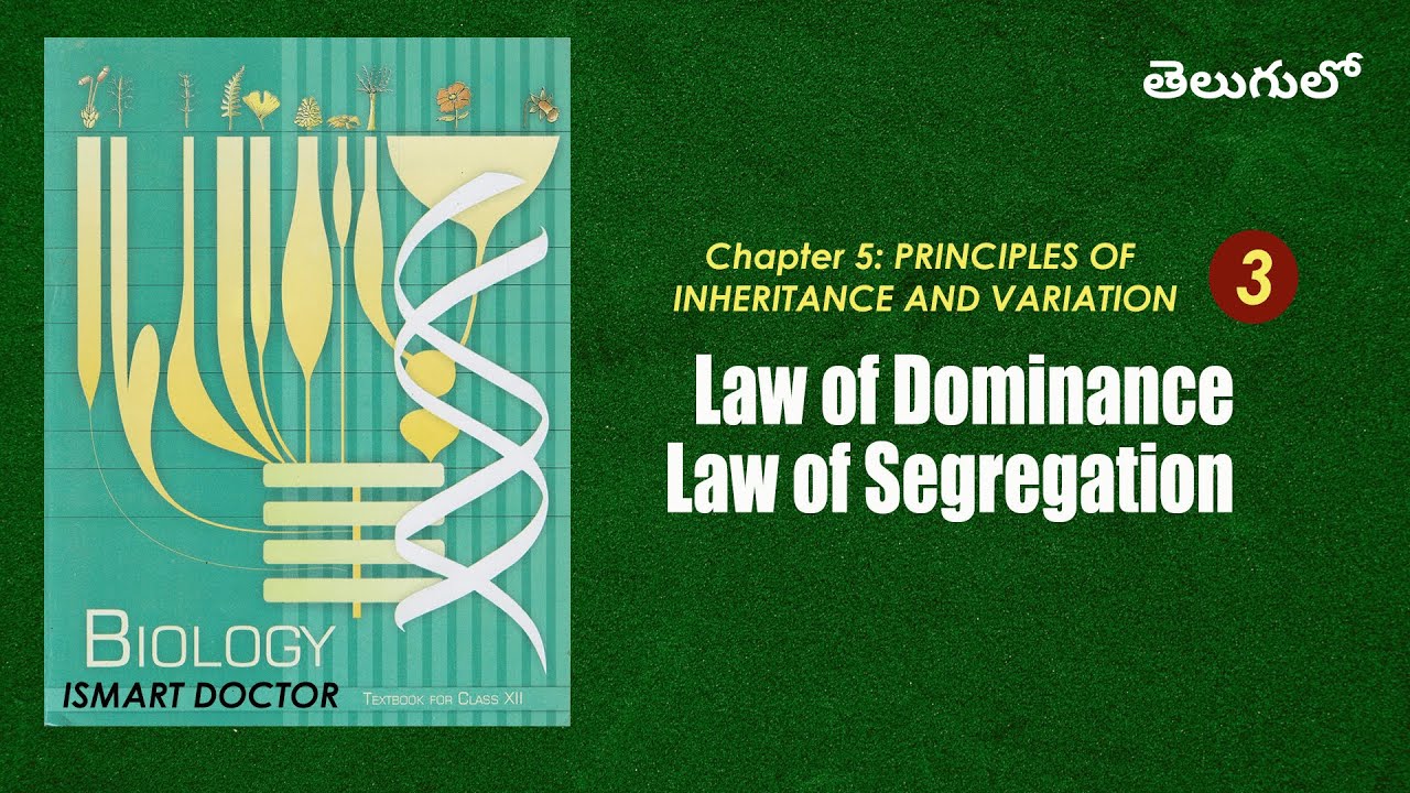 Law of Dominance and Law of Segregation || Telugu