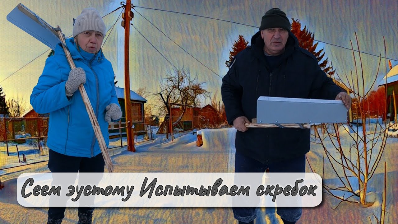 Сеем эустому Испытываем скребок на даче