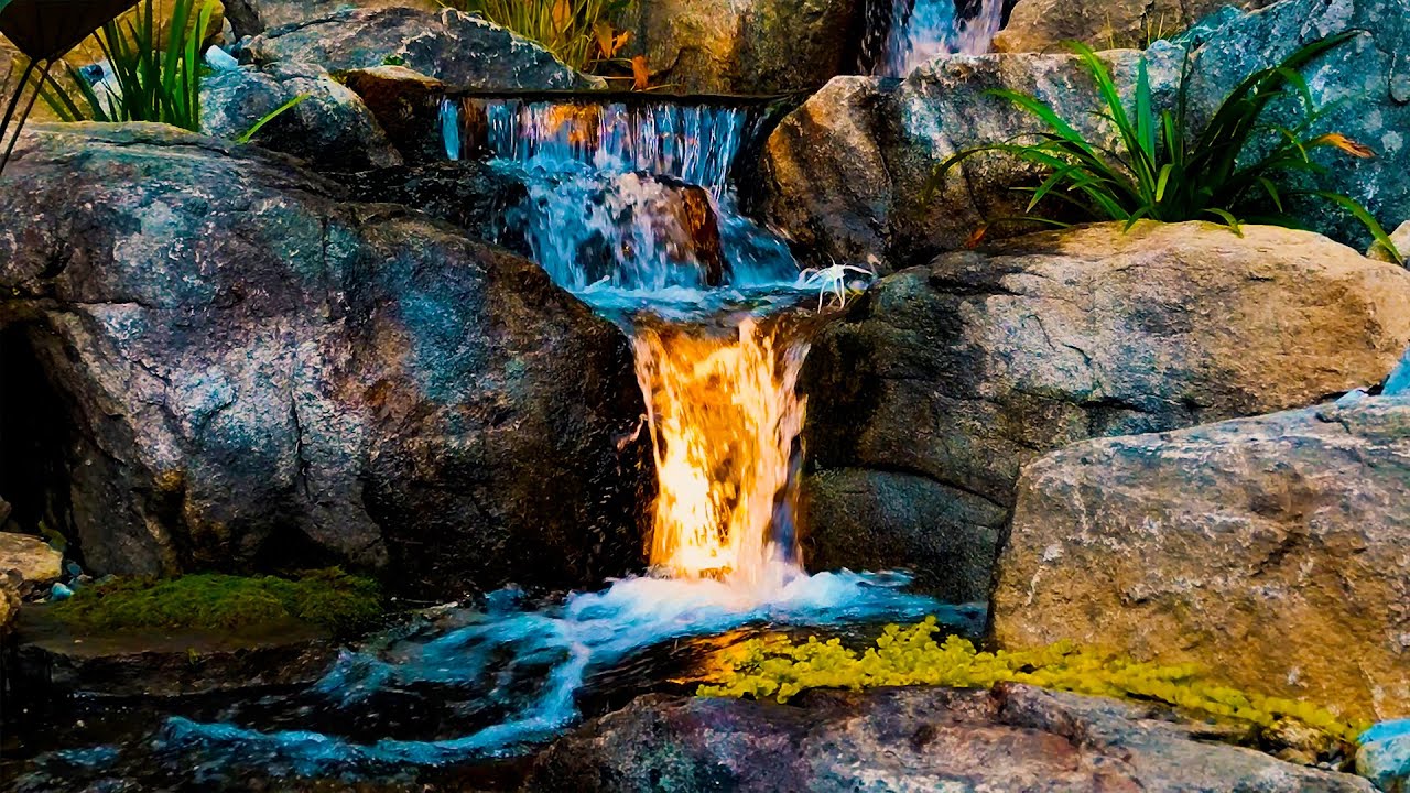 Вы до сих пор не решили, хотите ли вы пруд в 2026 году? Вот вам ответ.