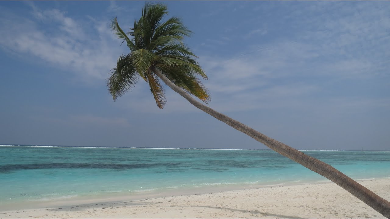 Maldives Meeru  3.2.2018
