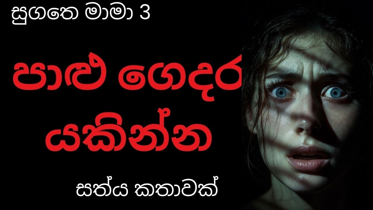 පාළු ගෙදර යකින්න (සුගතෙ මාමා 3  ) /Sinhala Holman katha / Holmankatha