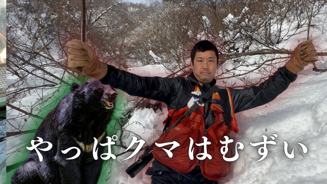 山行ってクマと鯉販売#塩田養鯉場 #アクアリウム #koi 