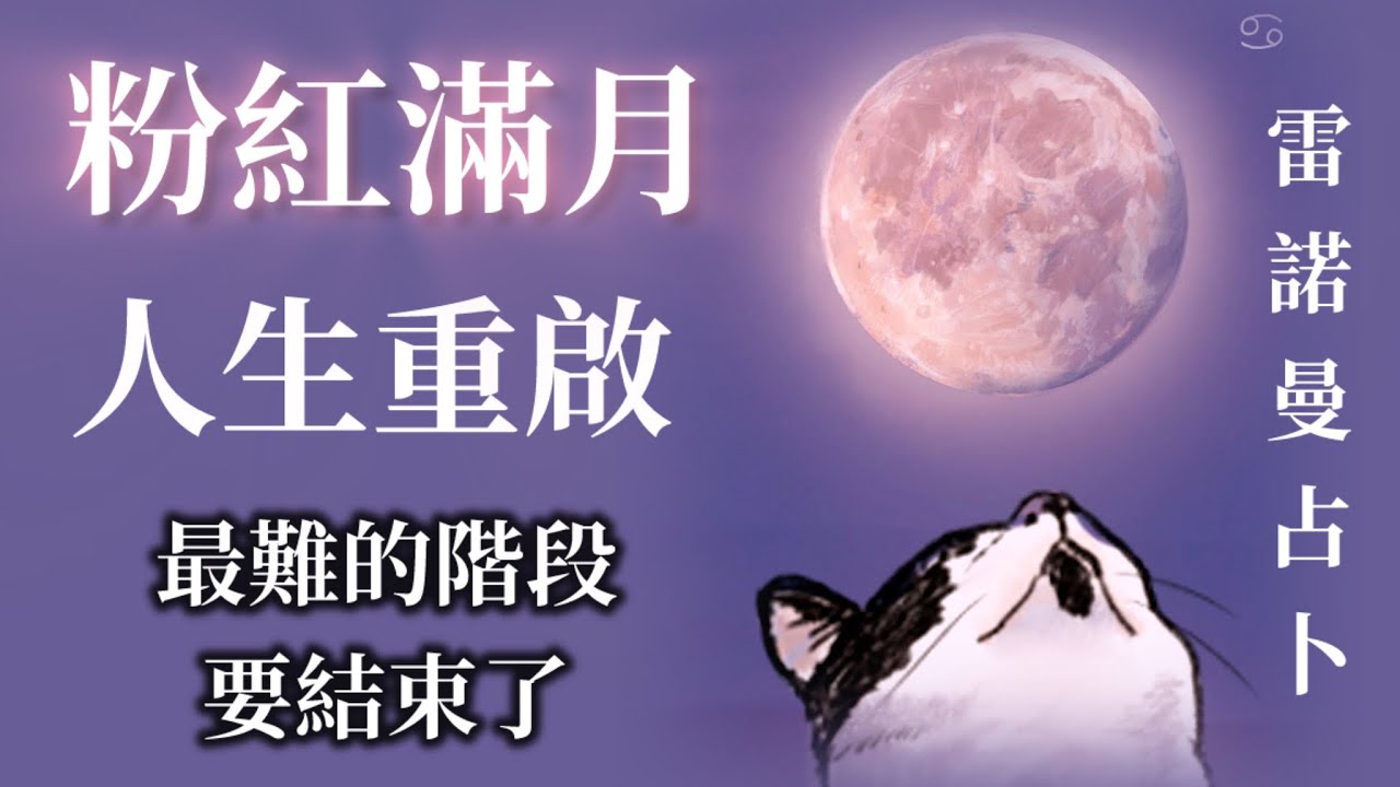 【CC字幕】💓🌝粉紅滿月：最辛苦的階段進入尾聲，全新人生等著你‼️ #喵黛麗塔羅