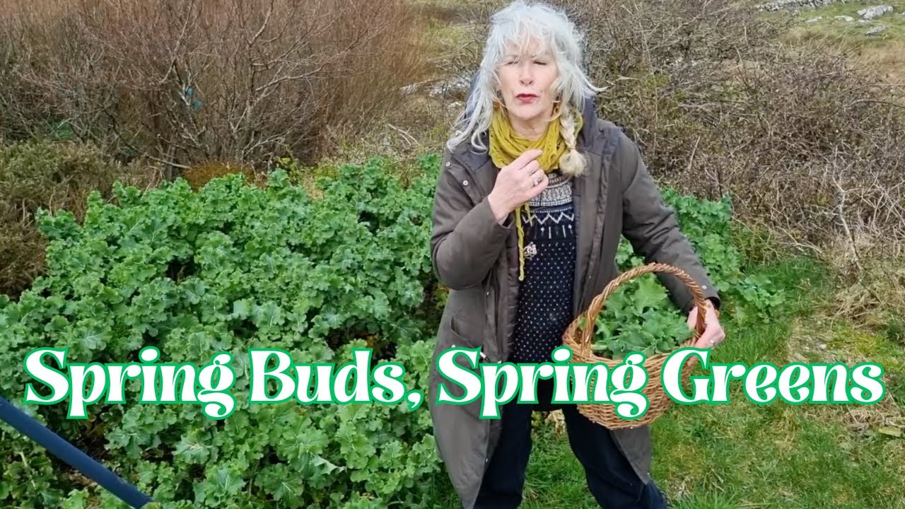 Spring Buds, Spring Greens
