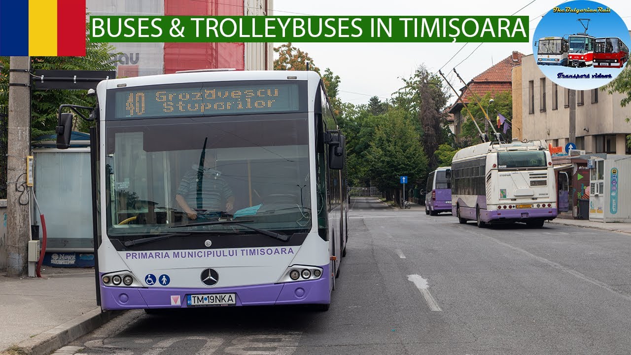 Buses & Trolleybuses in Timișoara 🇷🇴 [August 2022]🚌🚎