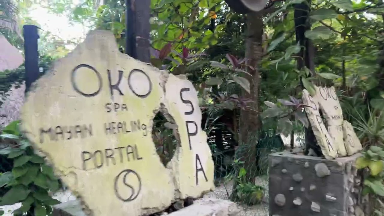 Tulum Resorts - Roadside Morning Walk (February 2026)