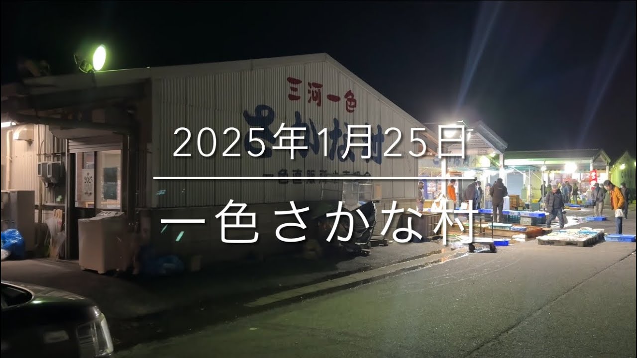 【500円あれば十分‼︎】日本一の魚市場『一色さかな村』圧倒的市場を完全公開