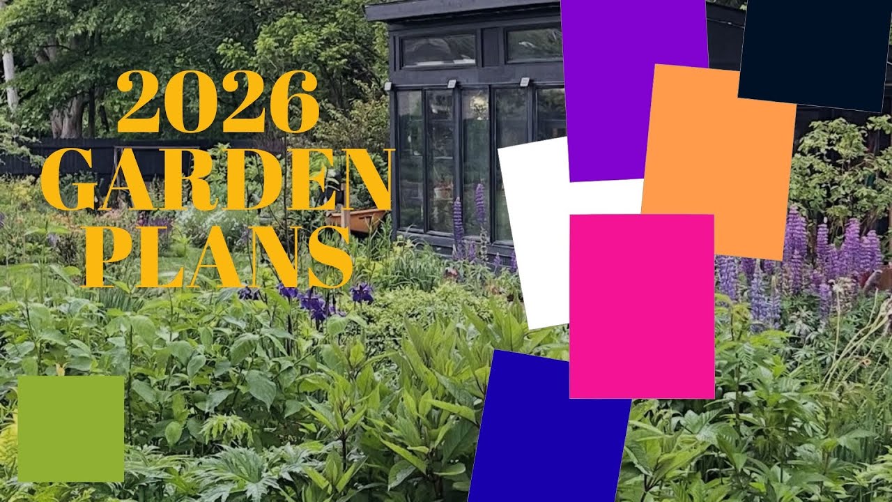 🌸🌿🤩 2026 GARDEN PLANS 🤩🌿🌸