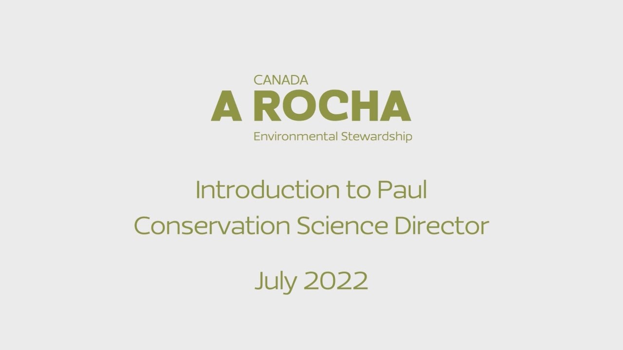Introduction to Paul