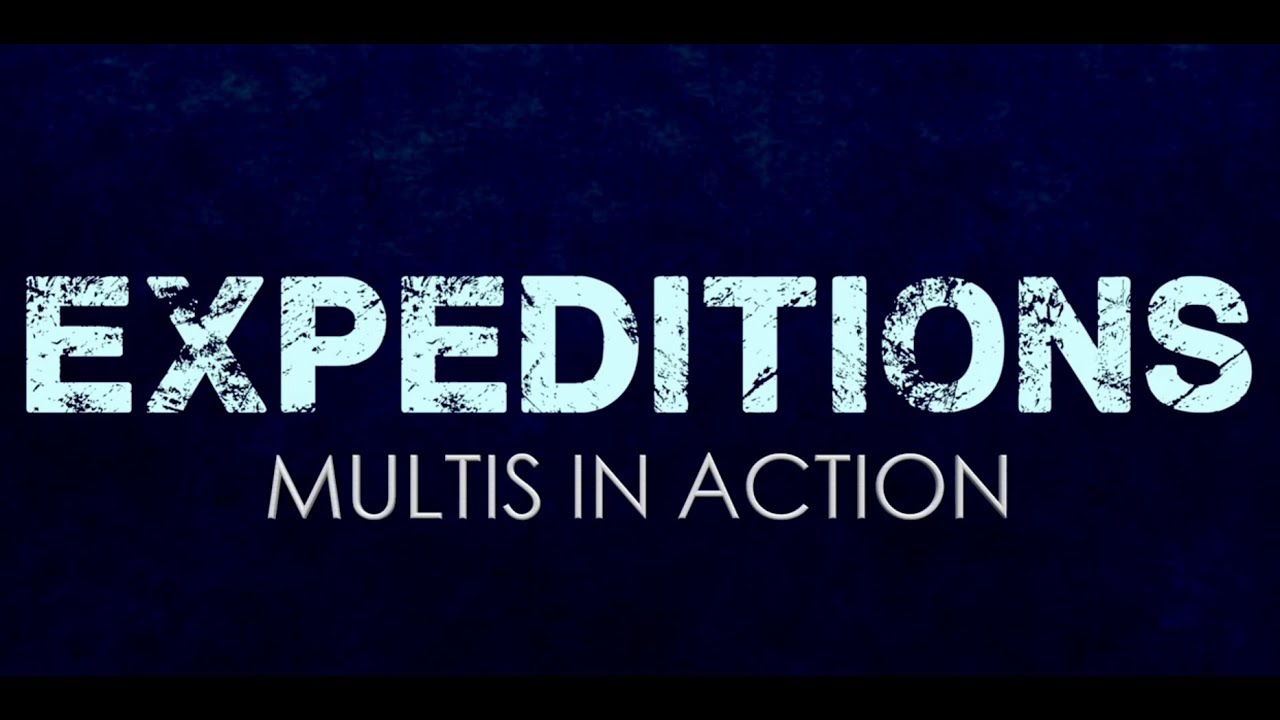 Sample Logic Expeditions: Multis In Action