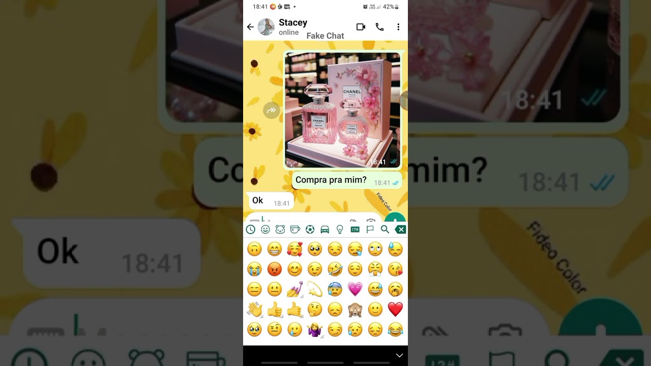 Fake chat (Ser igual as outras) história completa!🫶💔