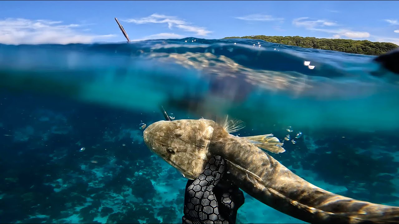 Dusky Flathead Spearfishing and Fish Tacos - Catch and Cook - Shore Diving in NSW Australia
