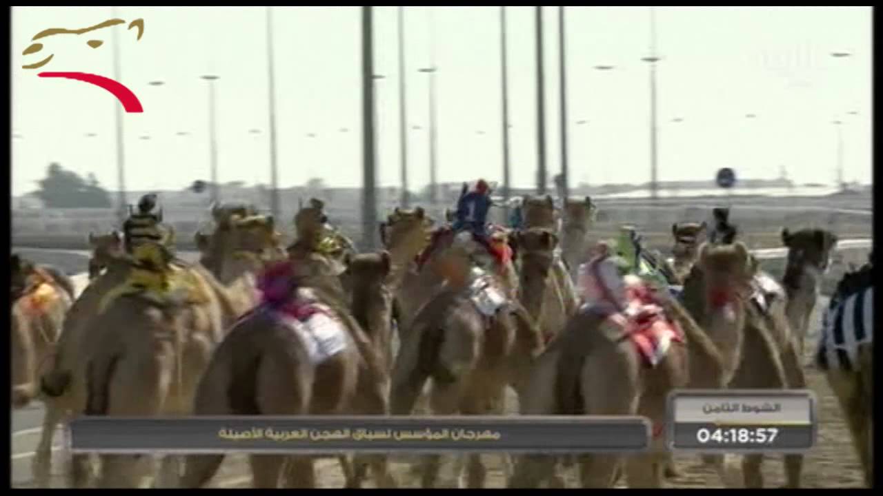 مهرجان المؤسس- حقاقة 4 ك- 21-12-2014 م- ش8 الحنيش لـ علي سعيد الجربوعي المري ت:6:00:11