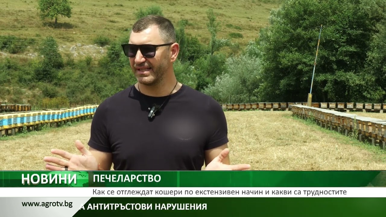 ПЧЕЛАРСТВО: Как се отглеждат кошери по екстензивен начин и какви са трудностите