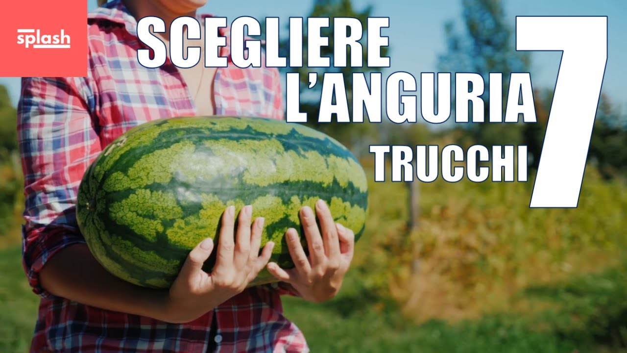 Come scegliere l'anguria buona 7 trucchi | SPLASH