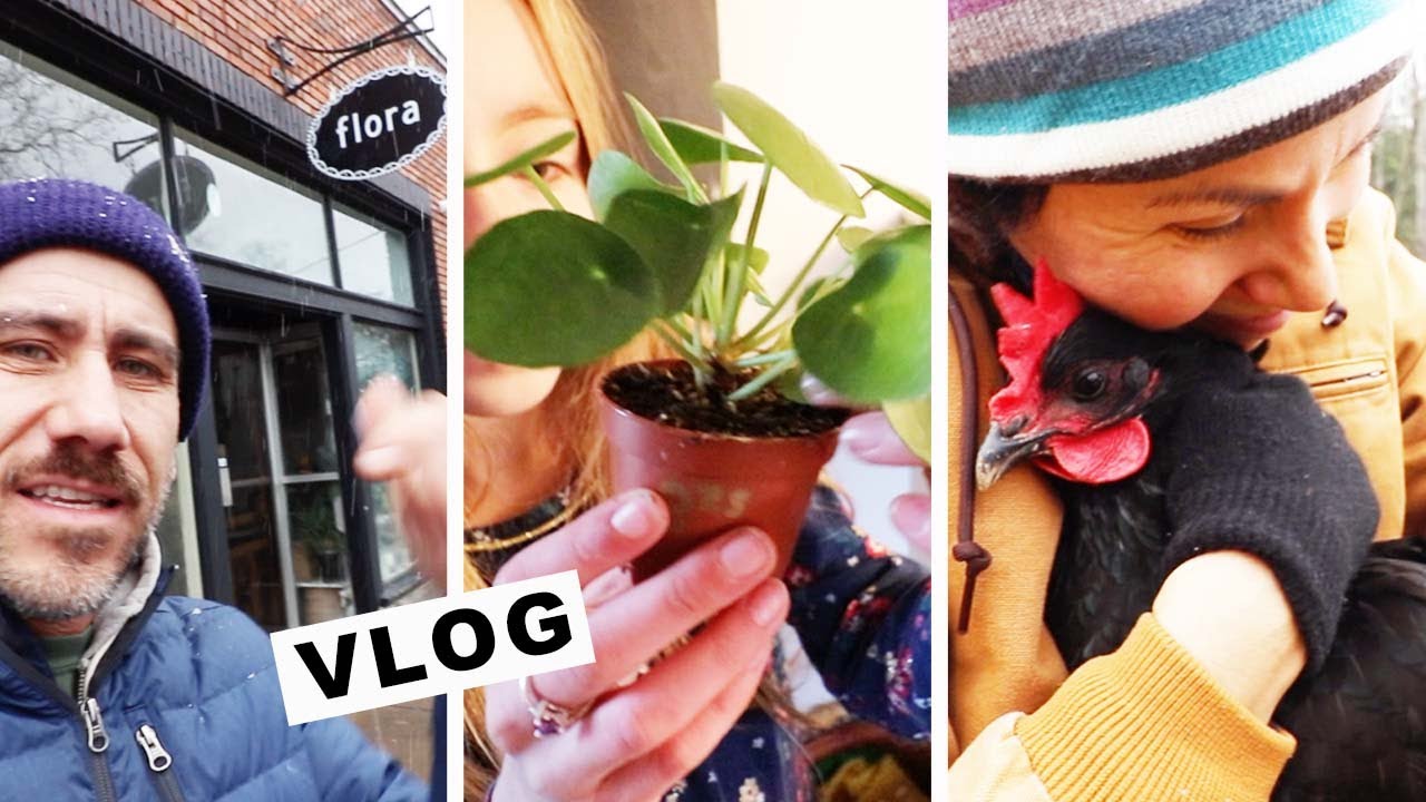 Buy a PLANT/ HUG a Chicken (VLOG)