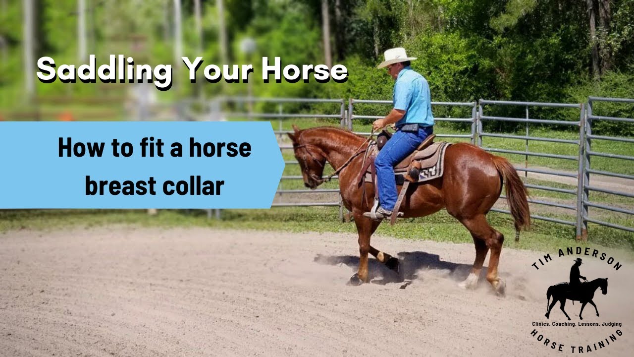 Saddling your horse | How to fit a breast collar