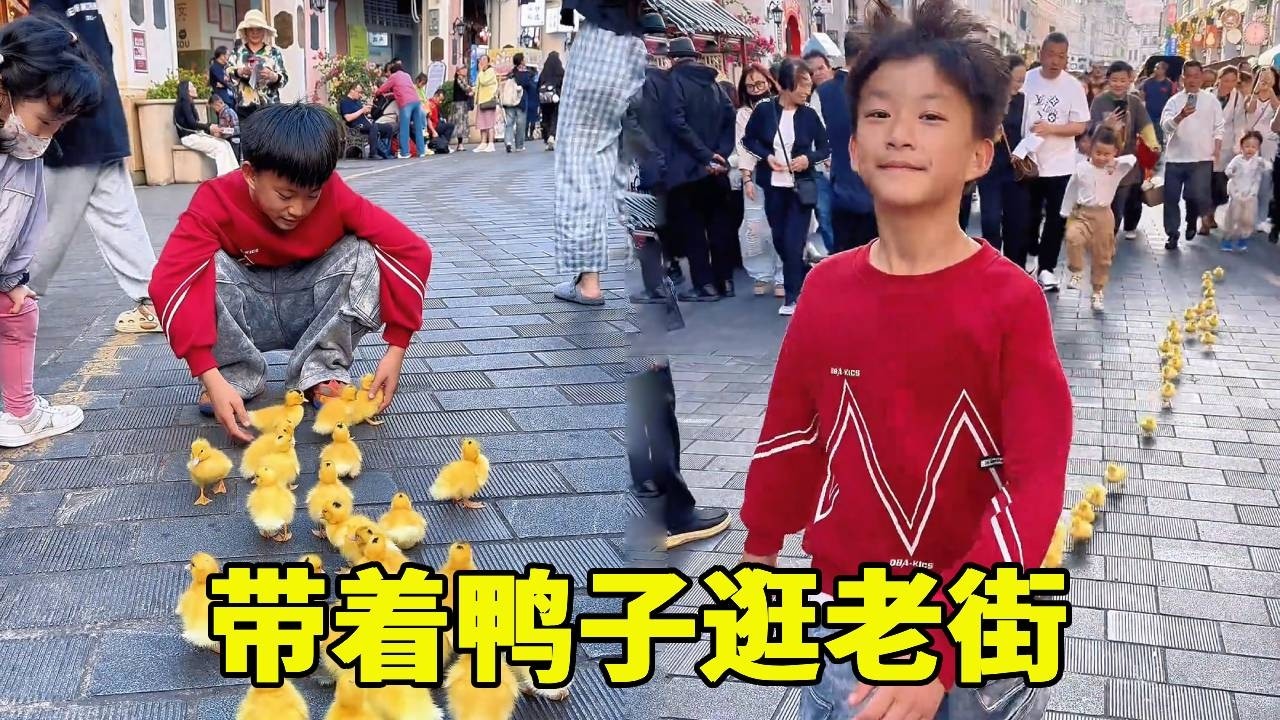 带着鸭子逛骑楼老街，没想到人却这么多，小鸭子都要没地跑了！！
