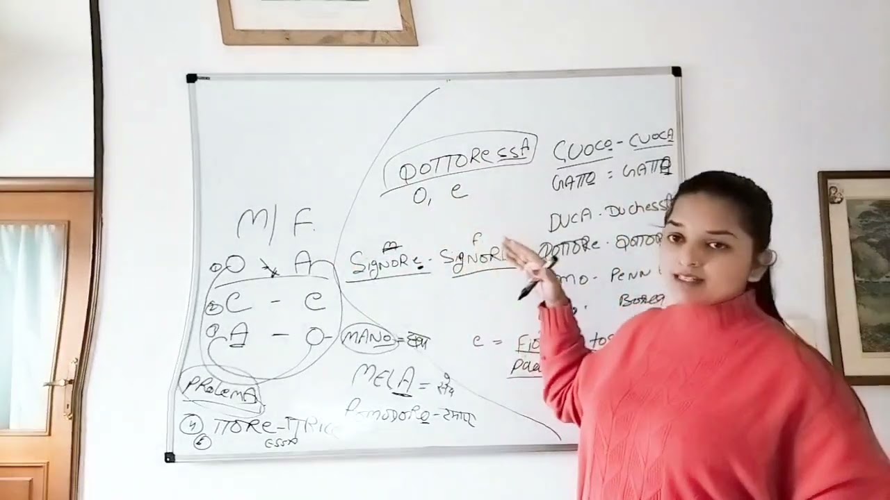 learn Italian in hindi  , masculine feminine ,singular plural !!!!!🙂Anu shekhawat in italy