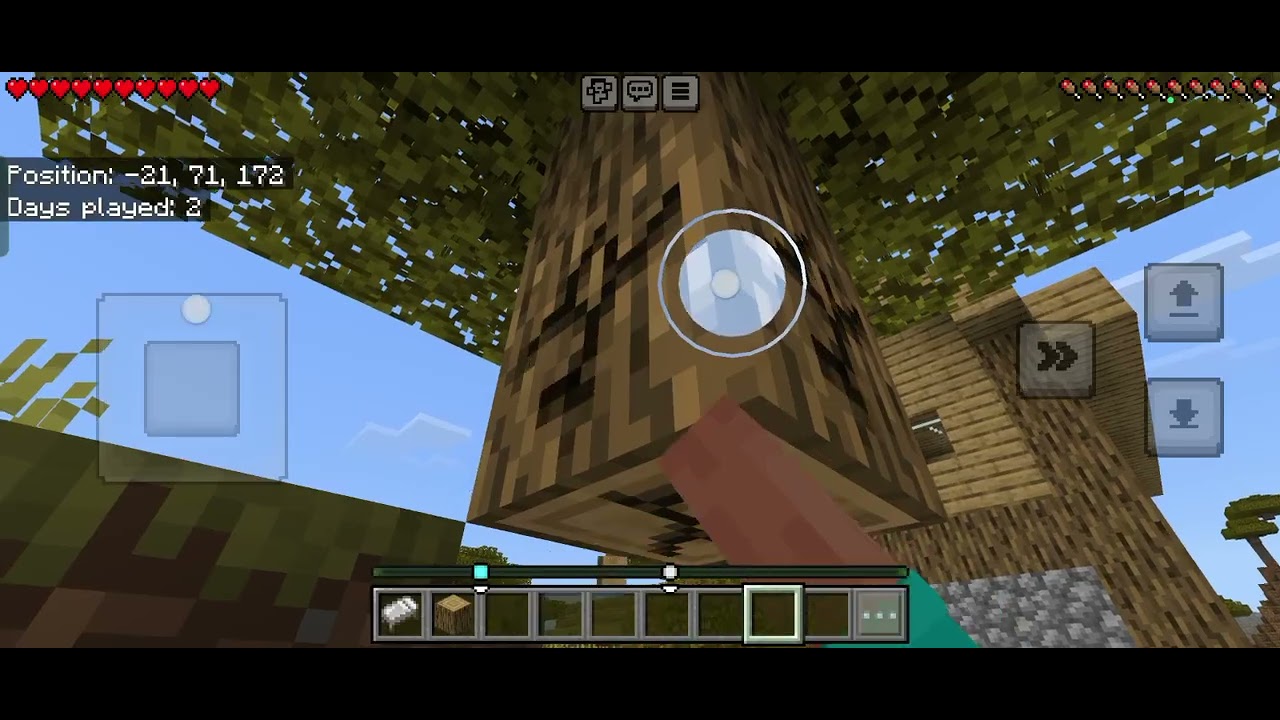 Me and my friends playing around in Minecraft lol