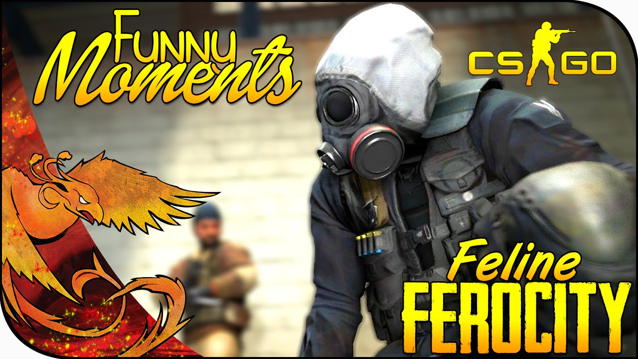 CS:GO Funny Moments │ Feline Ferocity (CS GO Funtage)