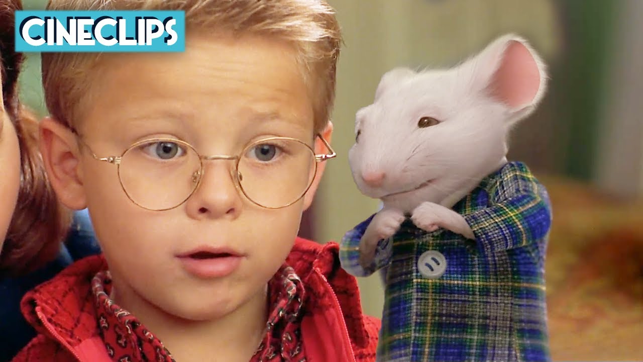 George Meets Stuart For The First Time | Stuart Little | CineStream