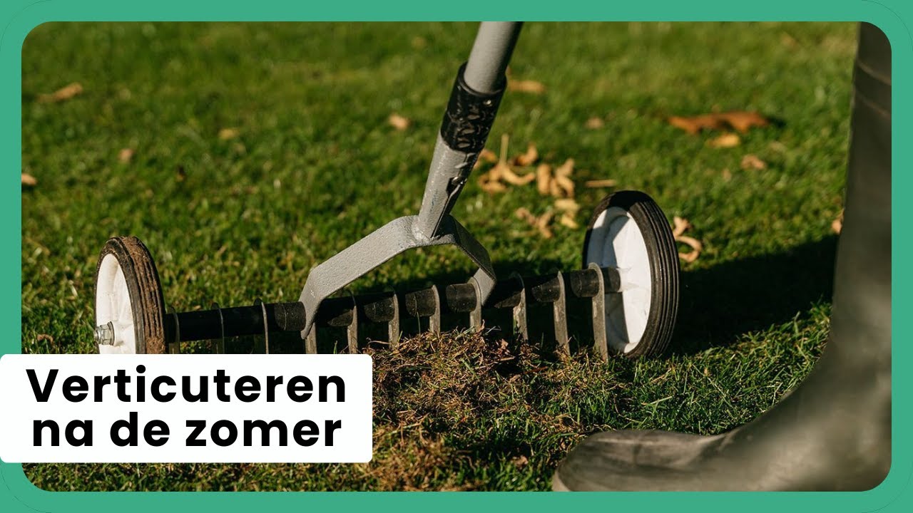 Gras Herstellen Na Zomer!
