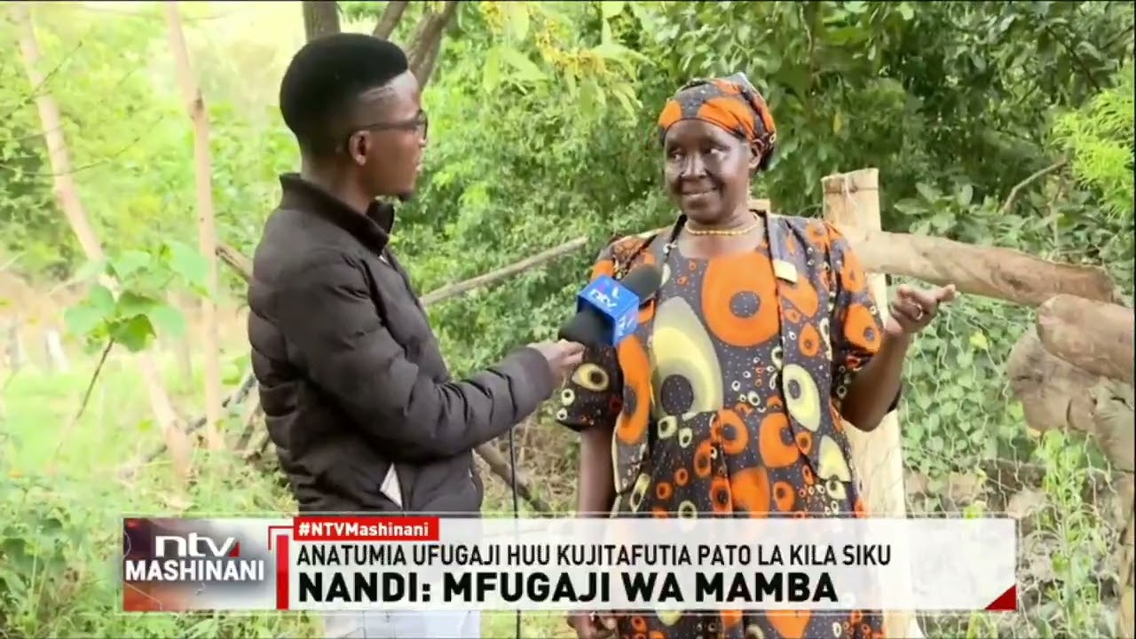 Nandi: mkulima mmoja awashangaza wengi kwa hatua ya kufuga mamba
