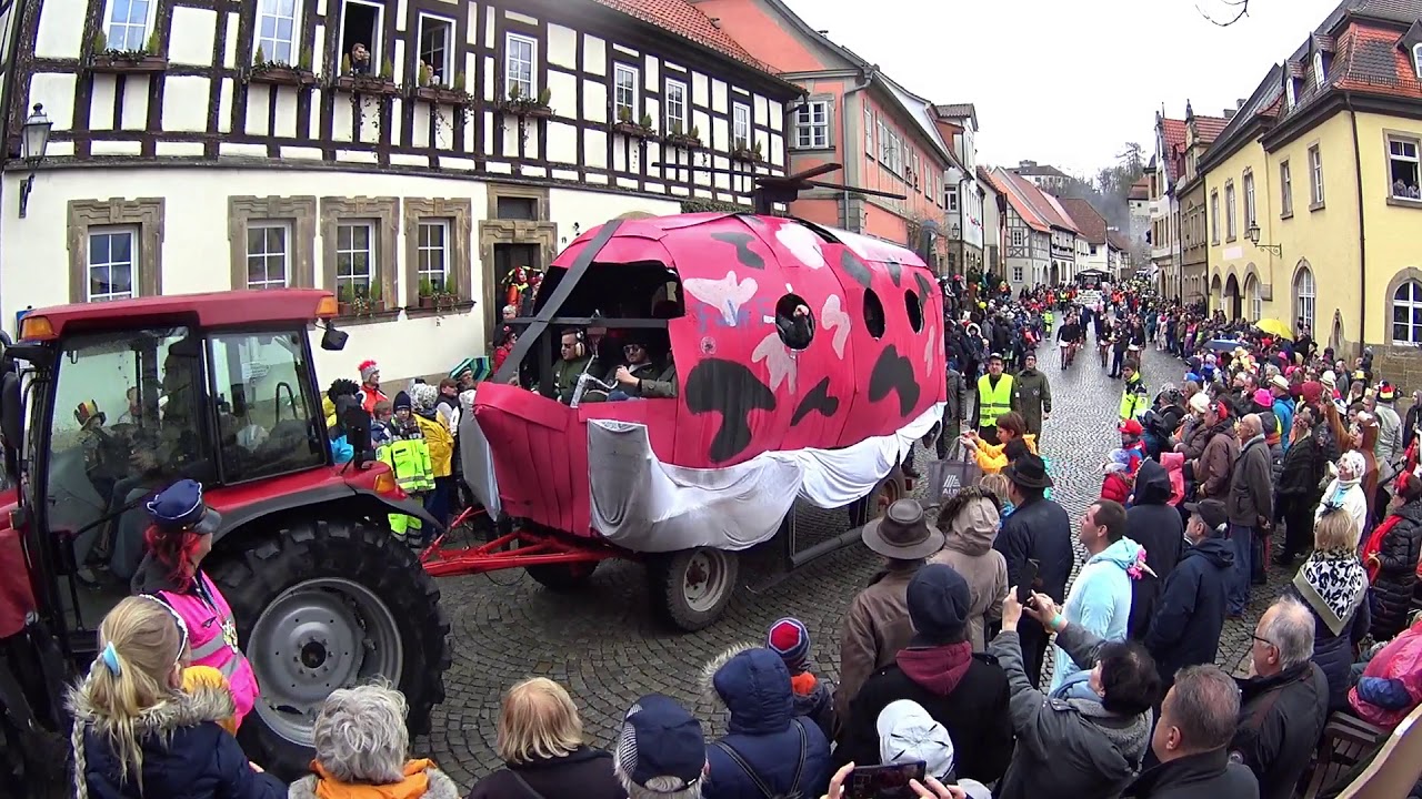 Faschingsumzug 2019 in Sesslach