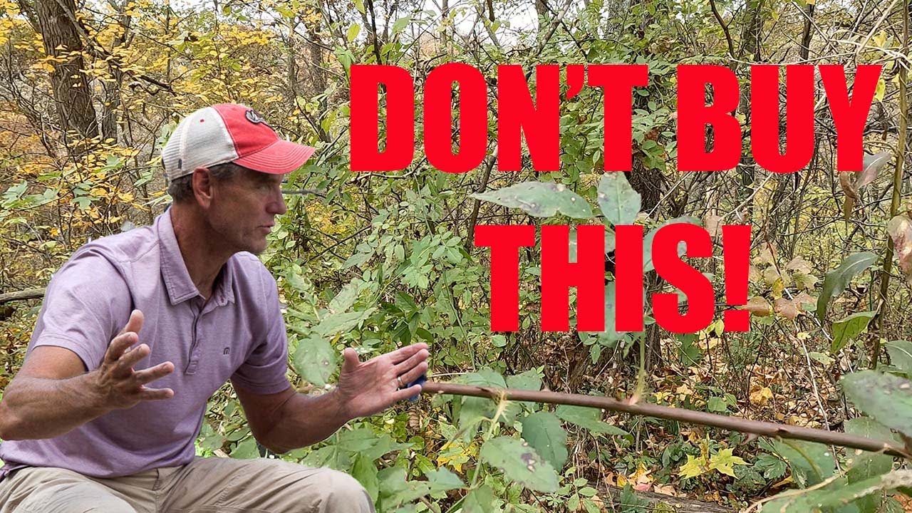 What Bill Winke Avoids When Buying Hunting Land!