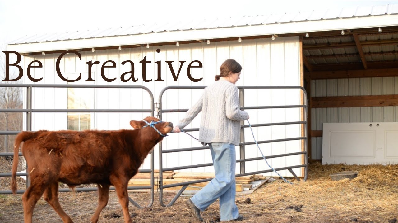 |FACING MY FEARS| Wintering a Dairy Cow