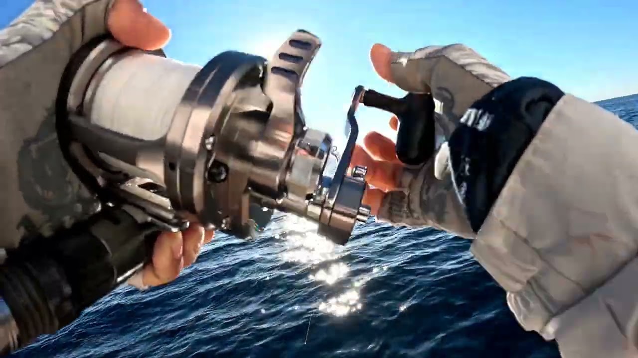 Bonita fishing on The PRODUCER