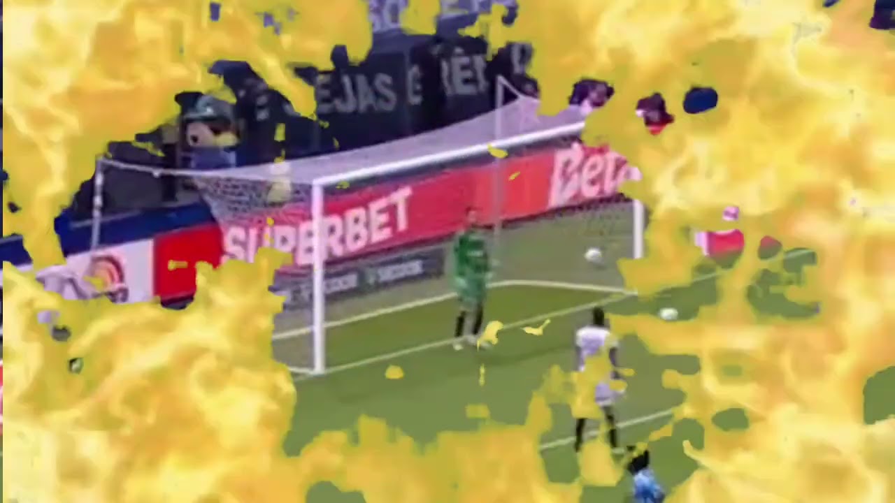 GOLEIRO NETO - BEST SAVES AND MOMENTS FOR BOTAFOGO 🔥🔥🔥