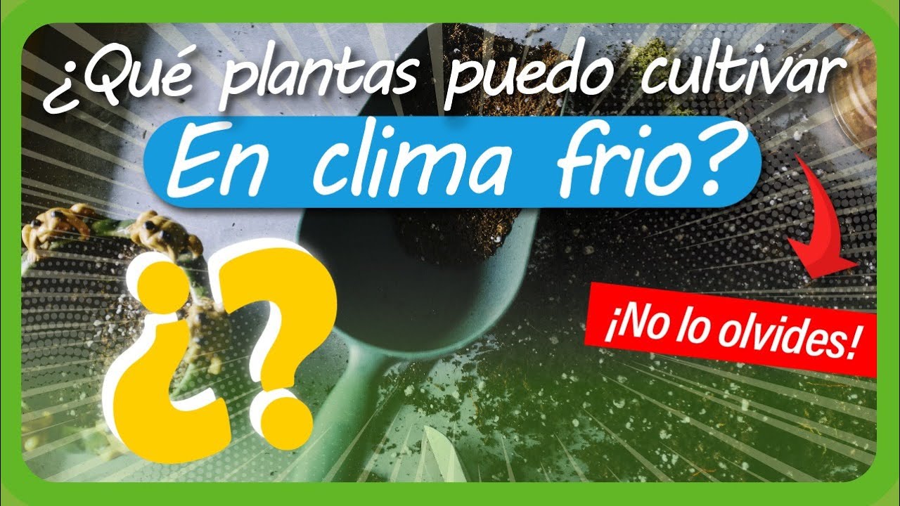 Qué PLANTAS puedo CULTIVAR en mi HUERTA de clima FRÍO