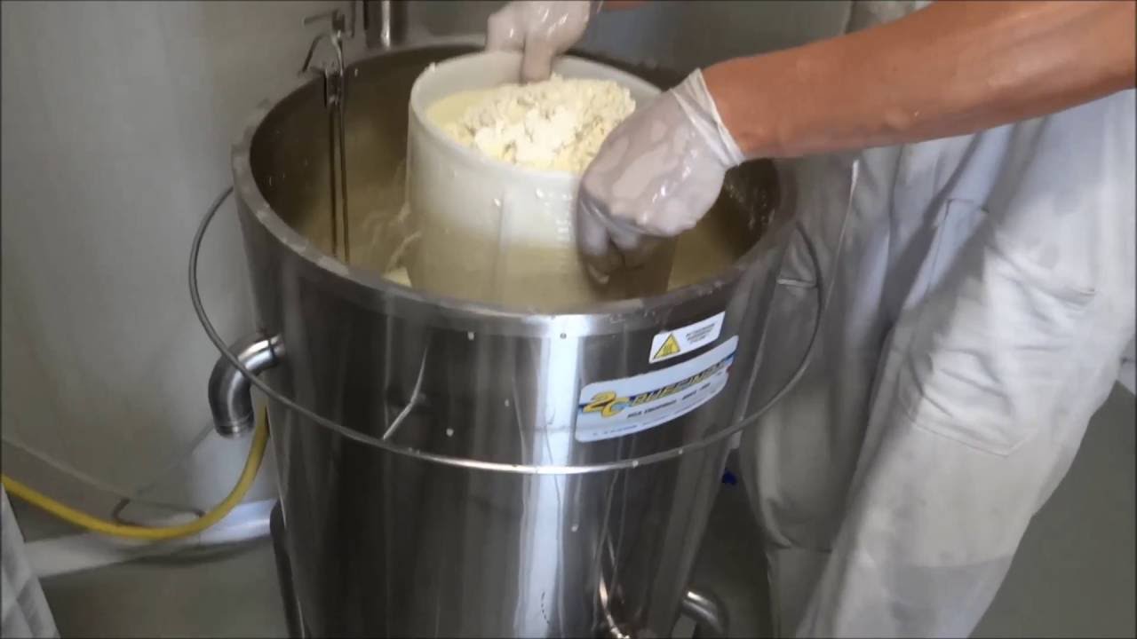 HARD CHEESE MAKING AT HOME  WITH MINI PASTEURIZER