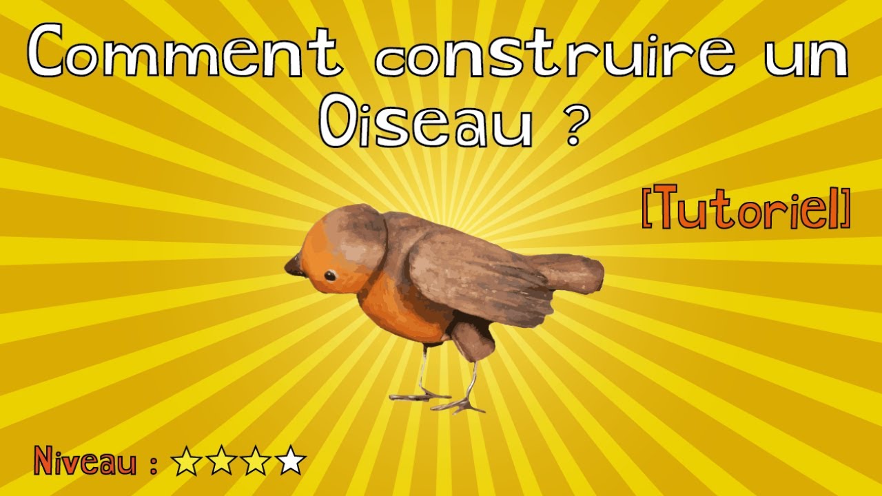 Comment construire un oiseau ? (Construction de marionnette)